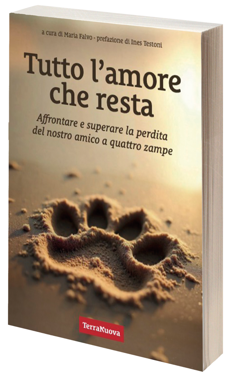 Tutto l'amore che resta