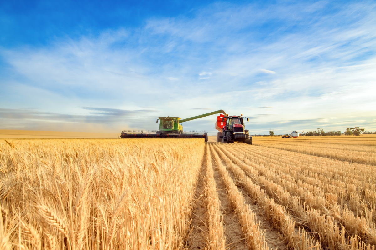 Ari: &laquo;Basta con un&rsquo;agricoltura schiava di input fossili e fertilizzanti chimici&raquo;