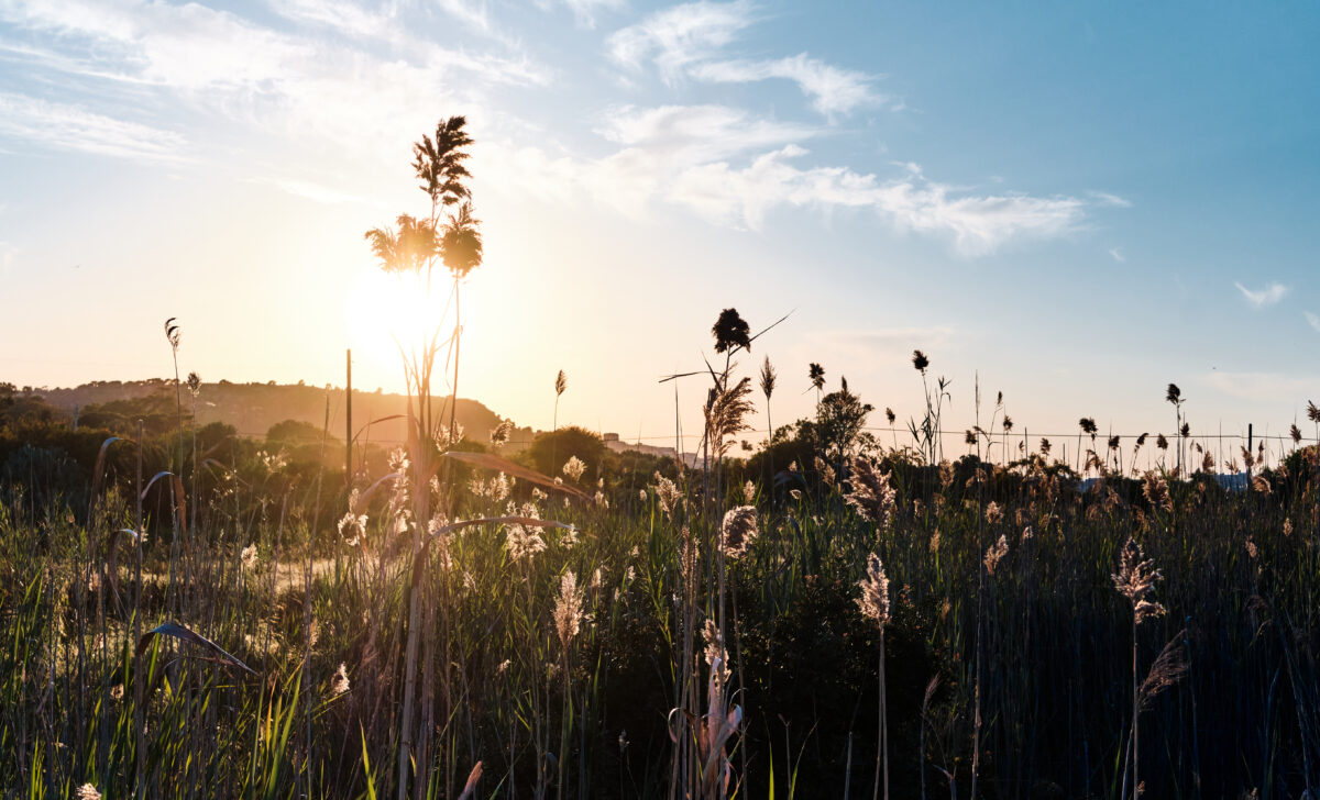 Slow Food: &laquo;Basta indifferenza e sete di profitto: la biodiversit&agrave; va difesa&raquo;&nbsp;