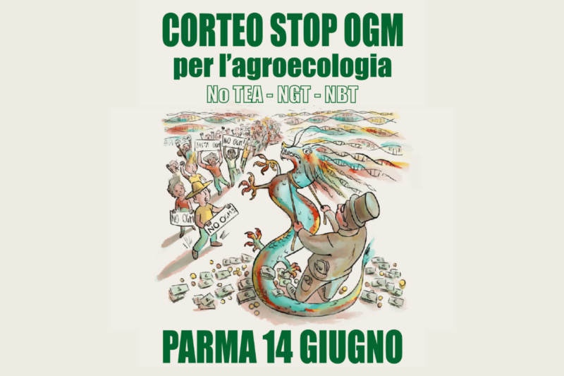 Cambiare il Campo: «In corteo il 14 giugno per dire no ai nuovi Ogm»