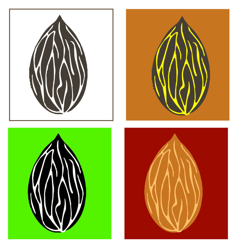 Mandorla siciliana attivata tra agroecologia, nutrizione e innovazione: il Progetto BIOMA