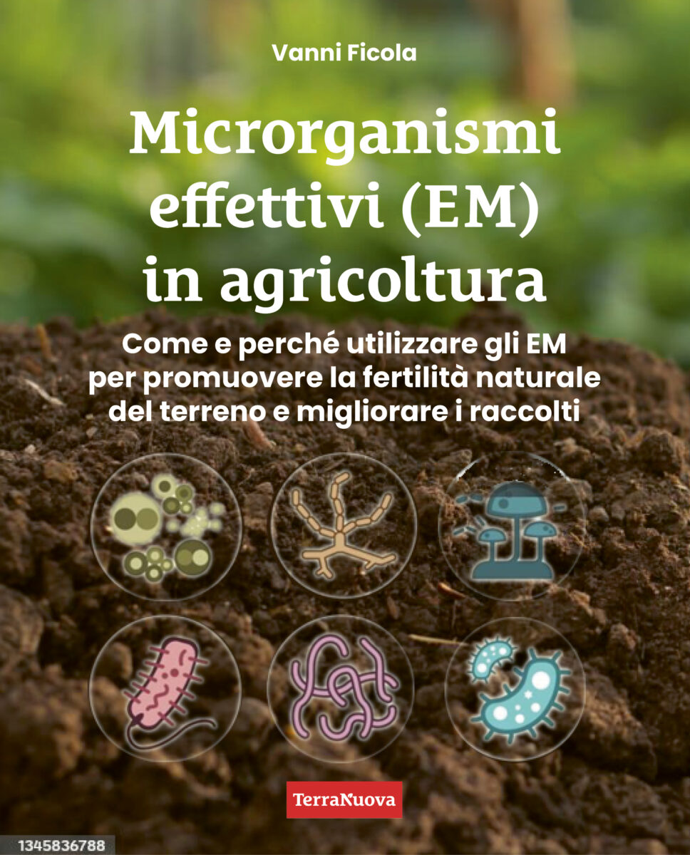 Microrganismi effettivi (EM) in agricoltura. Come e perché utilizzare gli EM per promuovere la fertilità naturale del terreno e migliorare i raccolti