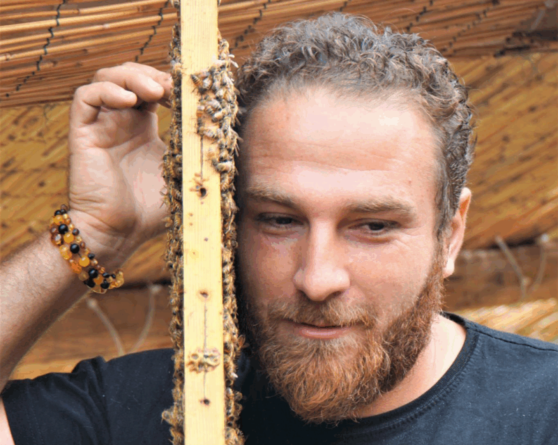 Zeid Nabulsi
