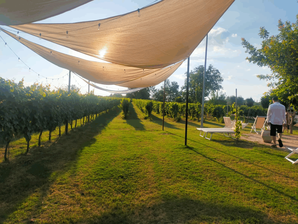 Ecco la rete degli agriturismi biodinamici Demeter