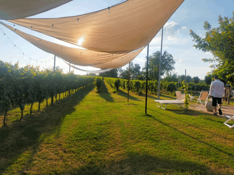 agriturismo Palazzo Tronconi