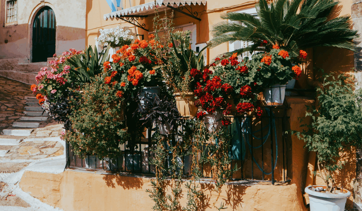 Fiori in balcone? Ecco il substrato ottimale