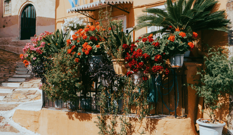 fiori in balcone
