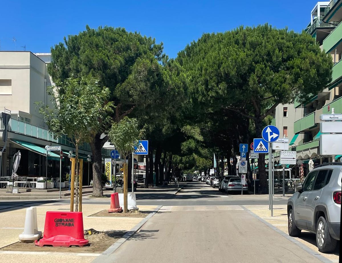 Ricorso alla Corte Europea per i pini del ravennate