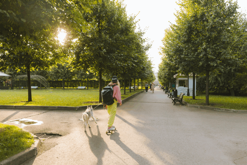 alberi in città