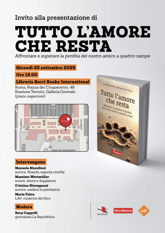 "Tutto l'amore che resta": presentazione a Roma