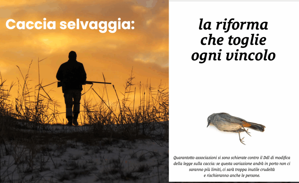 &laquo;Cattivo! Cattivo! Cattivo!&raquo;: l’editoriale di settembre