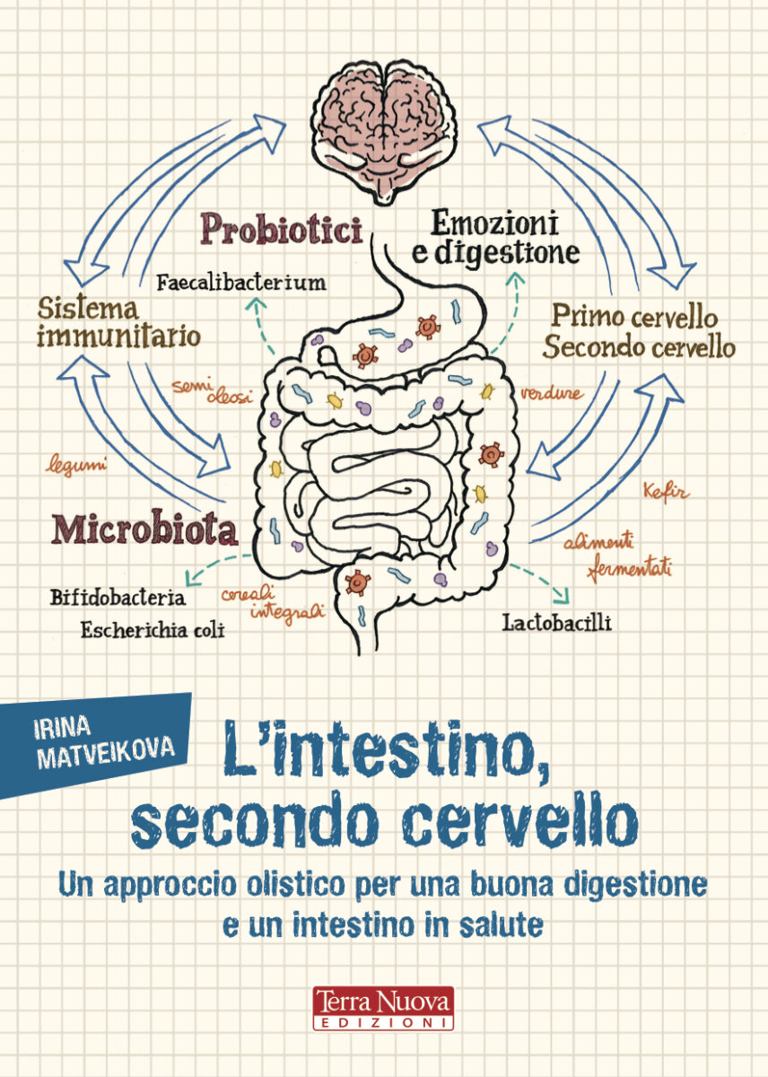 Intestino secondo cervello