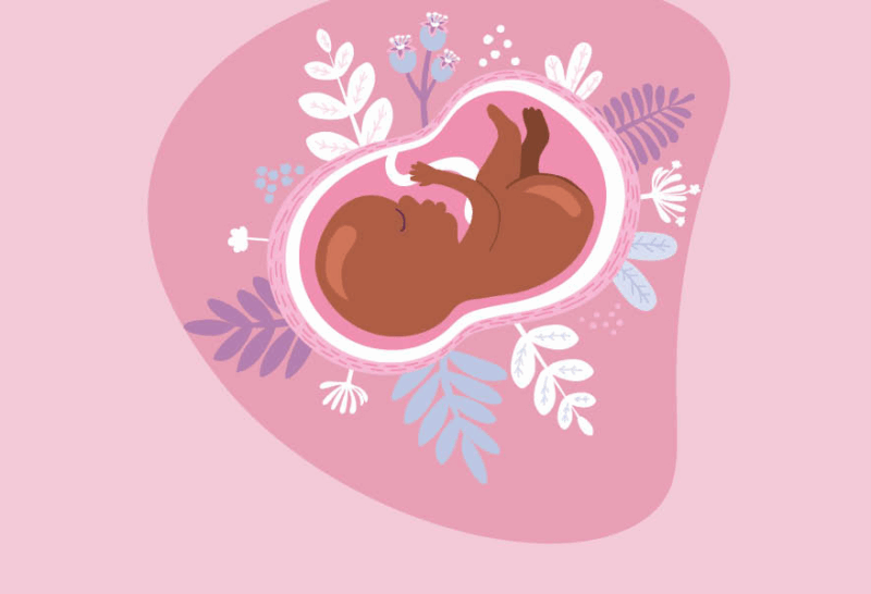 placenta