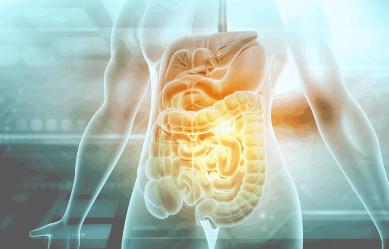 stomaco digestione