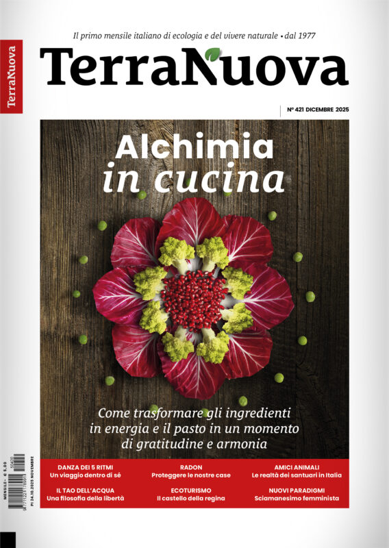 Copertina Terra Nuova Dicembre 2025