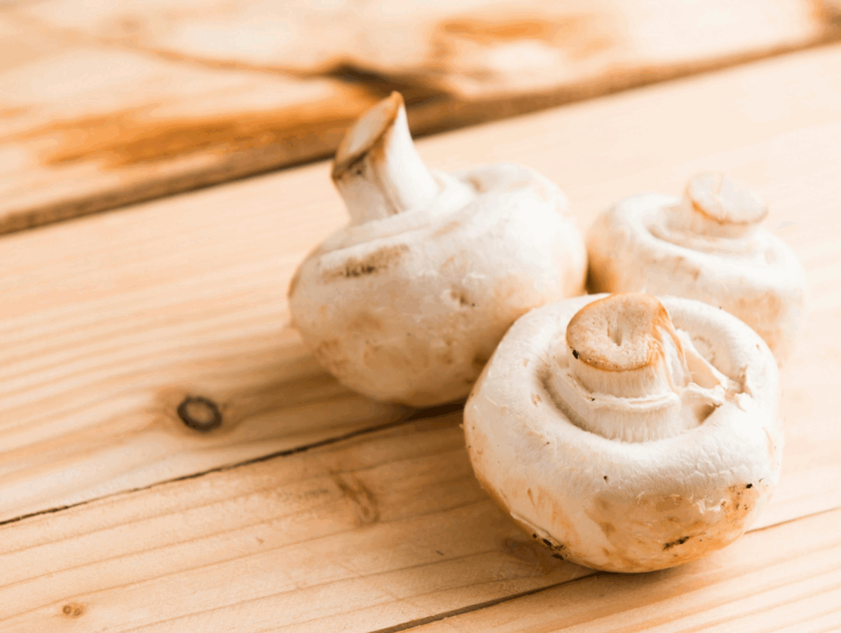 Champignon con spinaci all’arancia
