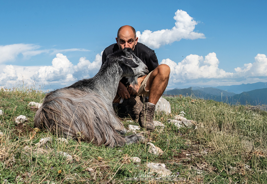 Animali in salvo:&nbsp;la realt&agrave; dei santuari in Italia&nbsp;