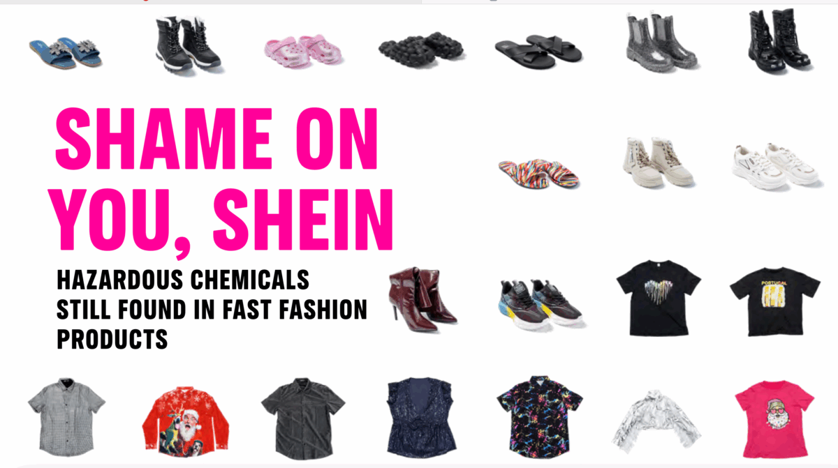 Greenpeace: &laquo;Shein, sostanze chimiche pericolose in un terzo dei vestiti&raquo;