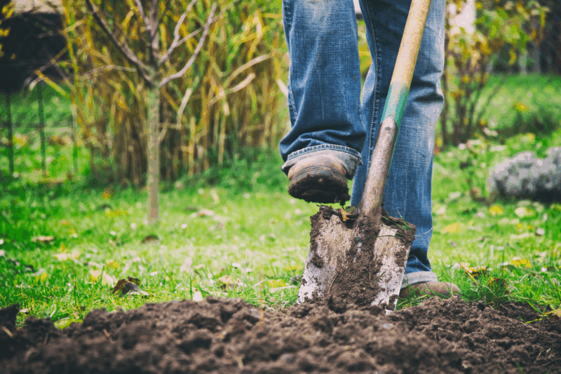 suolo terreno vanga campo agricoltura