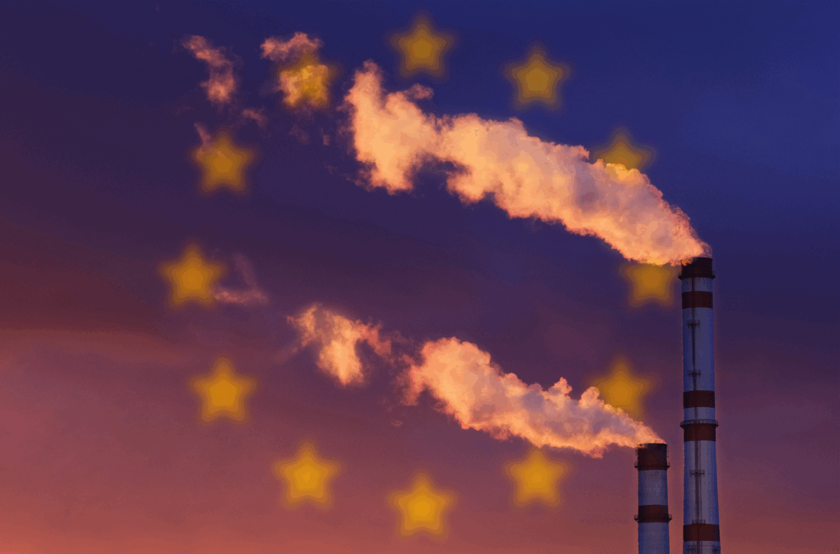 WWF: &laquo;La Commissione Ue smonta le tutele ambientali&raquo;