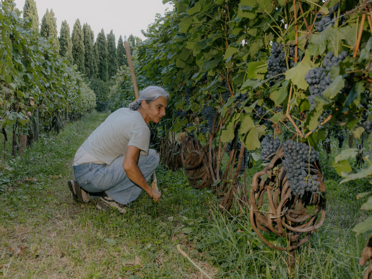 Demeter punta sulla formazione degli agricoltori