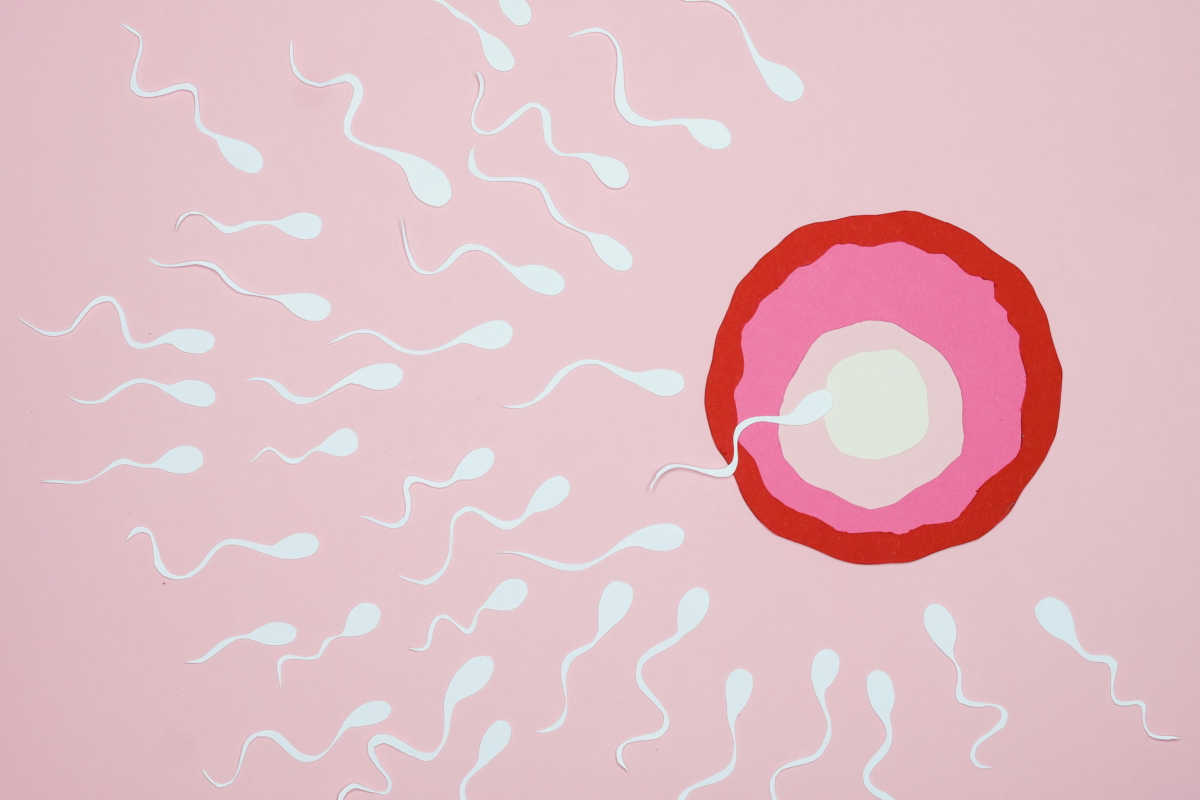 Infertilit&agrave;, un aiuto dall’omeopatia