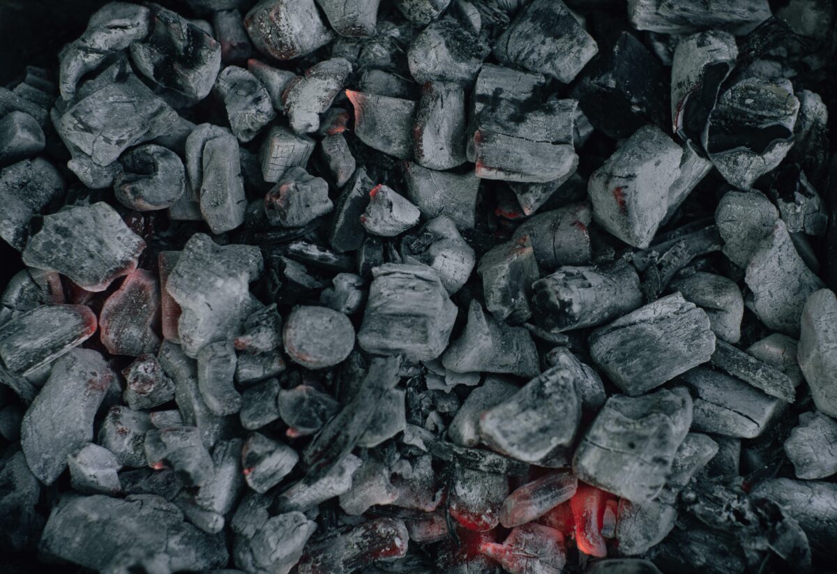Wwf: &laquo;Proroga del carbone, la peggior scelta possibile&raquo;
