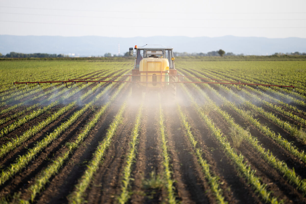 “Per la salute, le api e gli agricoltori”: raccolta firme