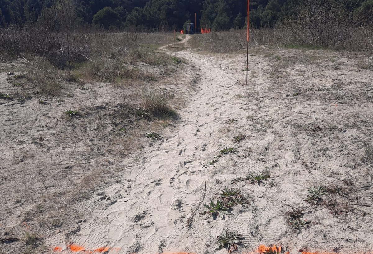 Ravenna, ricorso al Tar contro la &ldquo;passatoia&rdquo; nella riserva delle dune