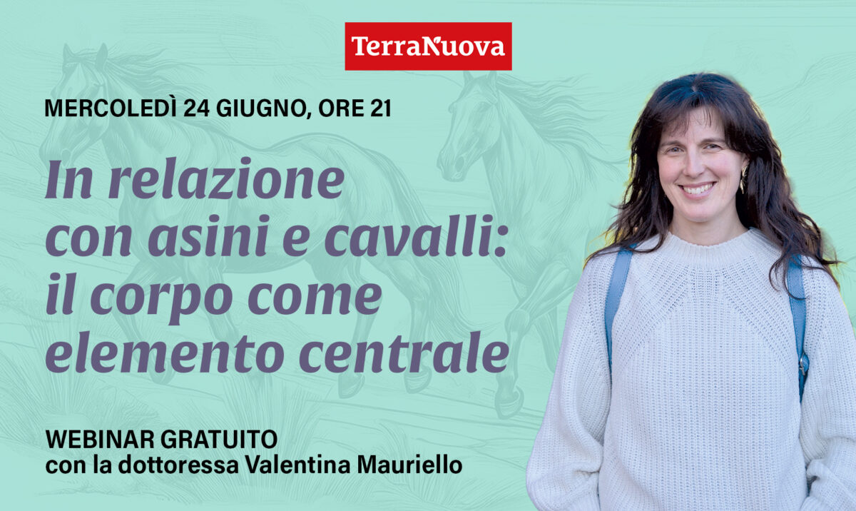 Ripensare la relazione con cavalli e asini: rivedi il webinar