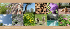 CASALE HORTENSIAE B&B