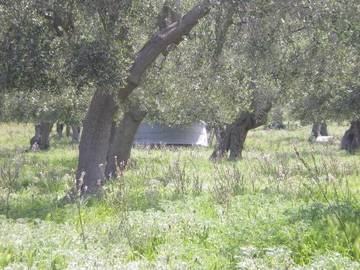 Giardino della Gioia