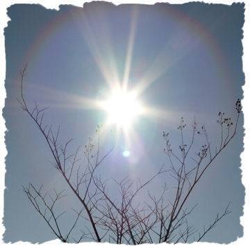 Ecosol